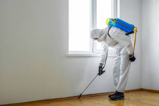 Best Fumigation Services  in East Quincy, CA